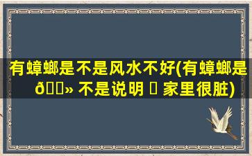 有蟑螂是不是风水不好(有蟑螂是 🌻 不是说明 ☘ 家里很脏)